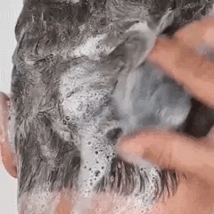 TRATAMIENTO ANTI-CANAS